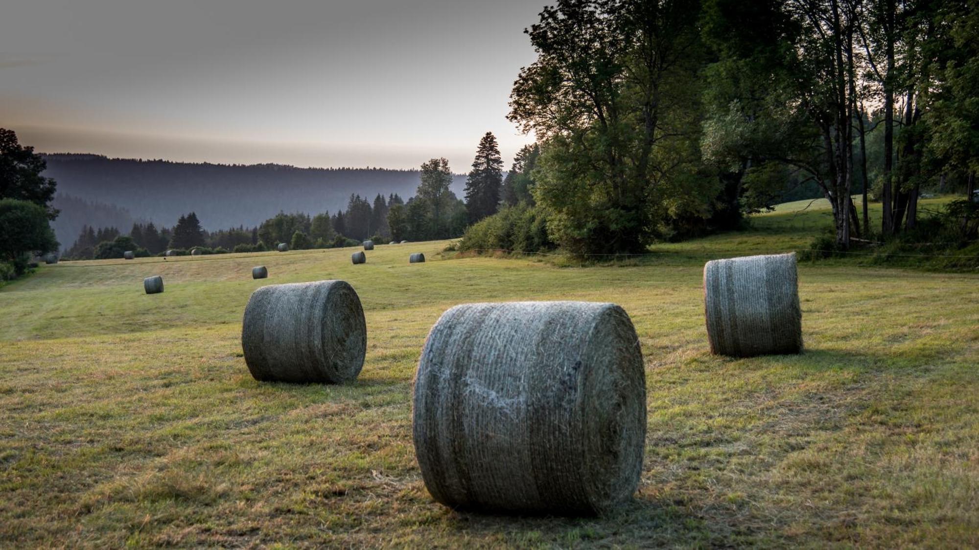 Notre Chalet - Boutique Hotel - En Couple - En Famille - En Groupe Les Fourgs Екстер'єр фото